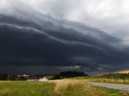 Sale temps pour les moniteurs indépendants