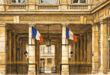 CPF : Mobilians ESR saisit le Conseil constitutionnel sur l’article 81 de la loi de finances