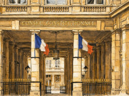 CPF : Mobilians ESR saisit le Conseil constitutionnel sur l’article 81 de la loi de finances