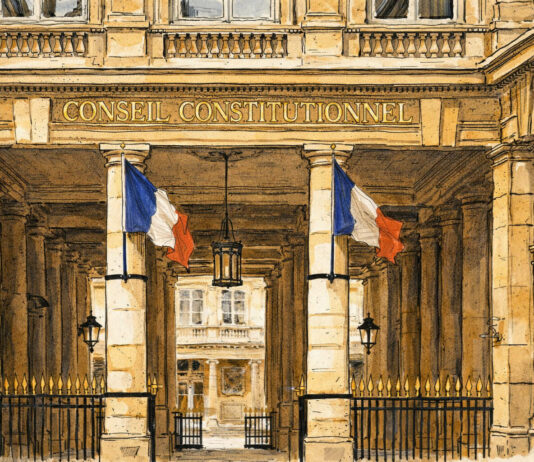 CPF : Mobilians ESR saisit le Conseil constitutionnel sur l’article 81 de la loi de finances